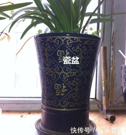 陶瓷|“带釉”的花盆好不好？1个优点、3个缺点要知道，才能养好花