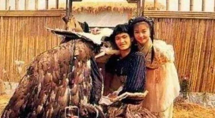 为何杨过当初要救雕而杀了蛇假如救怪蛇,他恐怕早就天下无敌