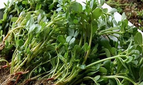  排出|冬季来了，推荐常吃3种食物，排出体内毒素，减少皱纹，早吃早好