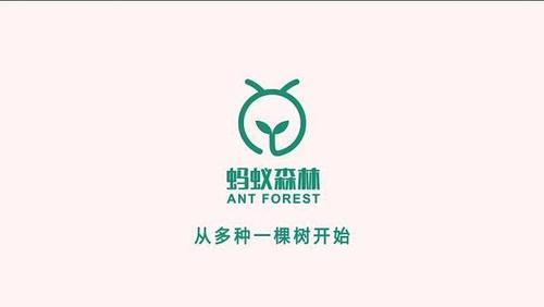 qq农场衰落,马云又出新"农场"玩法,2亿人都在玩,你在其中吗