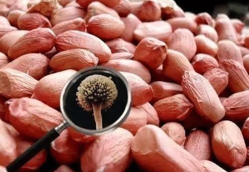 癌变|42岁女子甲状腺结节2年,医生:“1粗粮”常吃,甲状腺迟早癌变