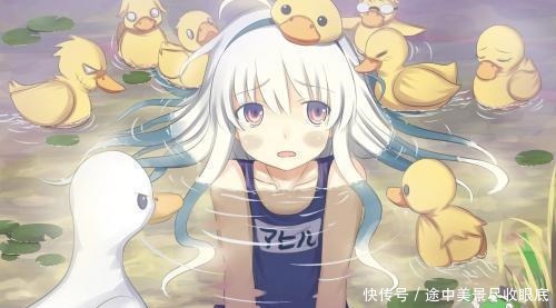 高糖|高糖暗恋成真文来喽!一场深情终究不被辜负《赠我予白》很甜呦