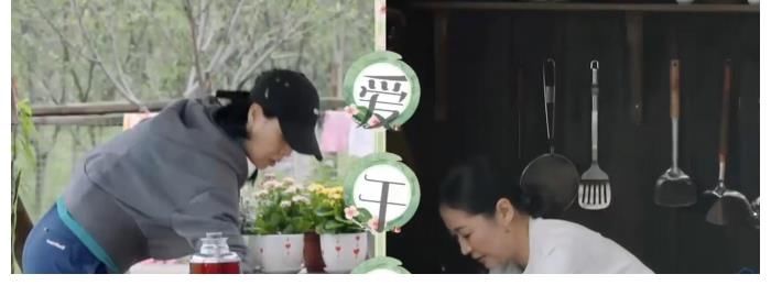 干活|那英去《向往5》了，去干活，顺便帮杨紫还债