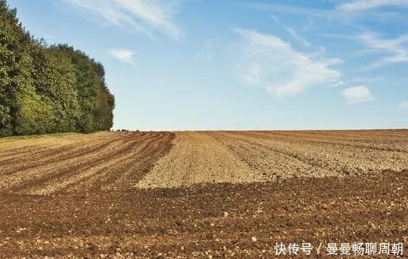 补偿款太低？“依法拆迁拖字诀”保障你的公平公正！