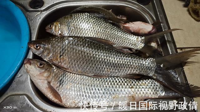 游泳|危险!这两个季节是钓鱼人的“克星”开钓需谨慎,血淋淋的教训