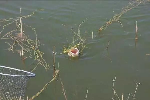 网工|钓鱼一定要远离这7个位置,逢钓必空军