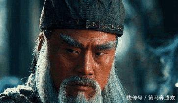 庞德|庞德是当世虎将, 人才难得, 可是为什么关羽擒住他说杀就杀了！