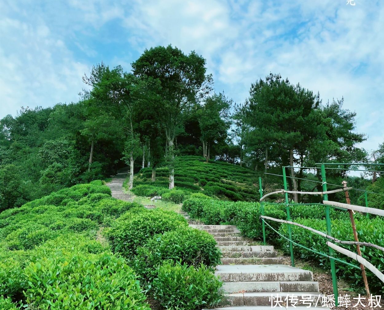 香积寺|细数杭州十个人迹罕至的美景点，体验极佳，独特私藏处