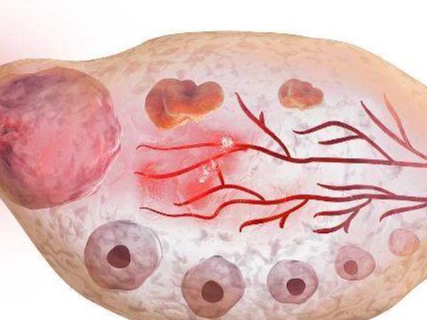 着床|从排卵到受精卵着床,需要几天有这3种感觉,说明你怀孕了