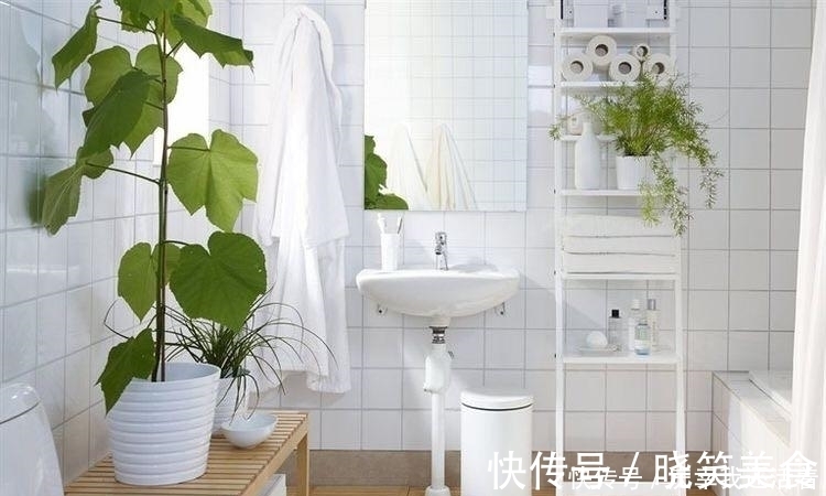 媳妇儿，你把卫生间都种成了花园，人家都不好意思在里面蹲坑了！