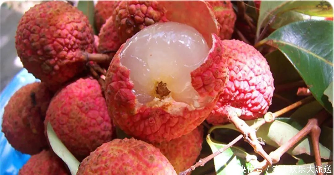 吃荔枝|剥荔枝时轻轻一按,荔枝壳自动打开,不脏手还省事