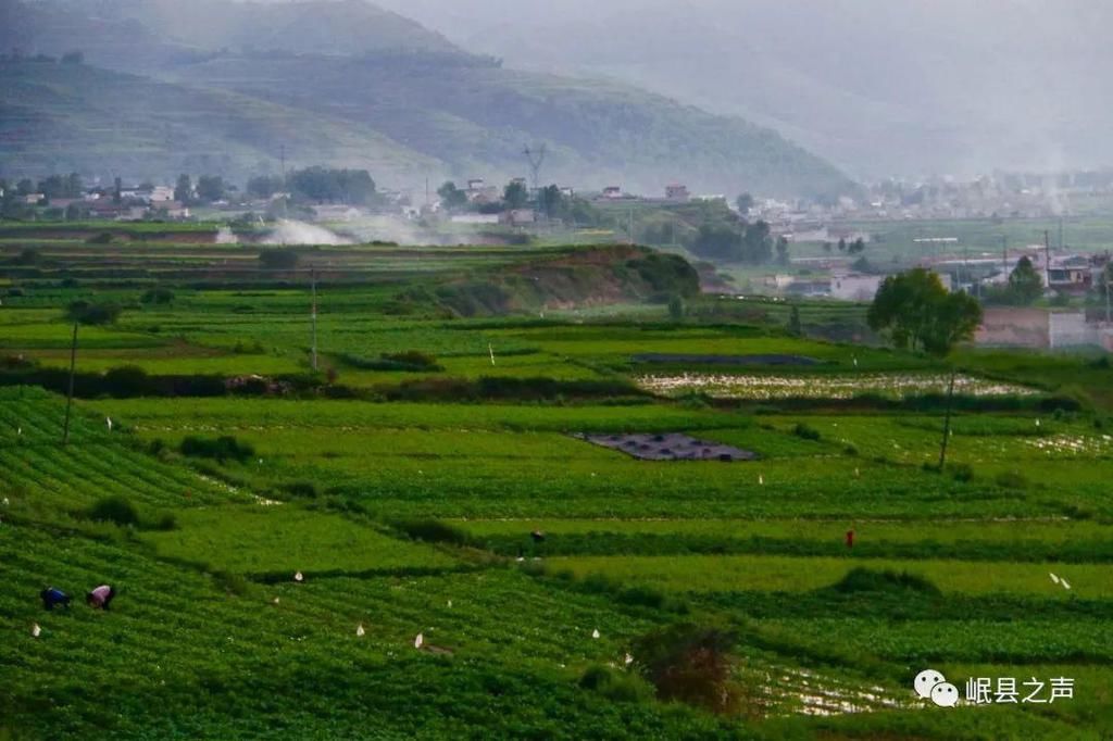 岷县的春夏秋冬，看不够！