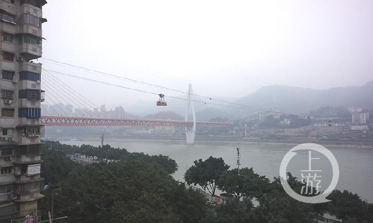 变身|新春新去处 居民区成网红打卡地