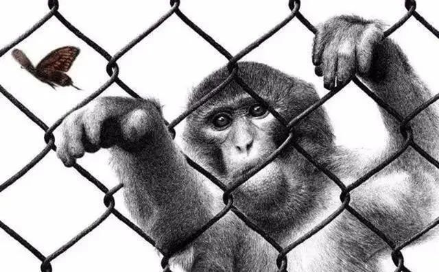 让大家感|叛逆少年欧阳鹏杰,凭借绘画创作持续走红,今成钢笔画领军人物