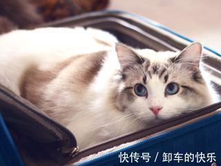 |幽默笑话:天刚黑时路过一居民小区,对面走来一肌肉猛男