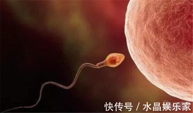 不孕不育|生育能力强的女人,两方面特征比较明显,你有吗