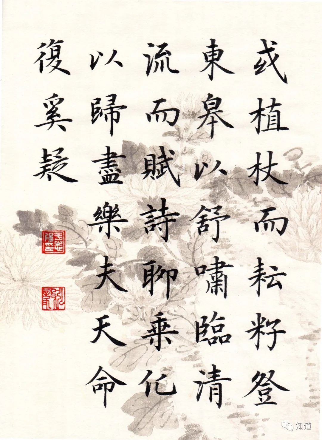 归去来兮辞#书法不可以自学,自学就等于自杀。书法培训老师都这么说