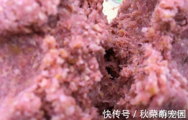 终结者|冬钓鲫鱼用什么商品饵?这5个配方简单又好用,值得一试