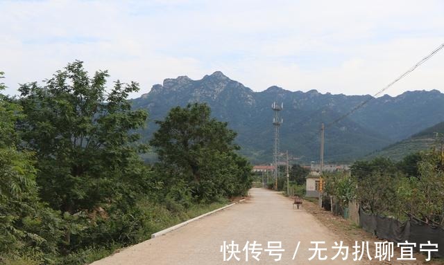 形状|实拍 烟台福山郊区有座“狮子山”, 山的形状像狮子头