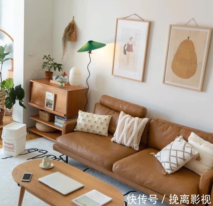 清洁剂|“假精致”的4件家居用品,费钱占空间还糟心,别再盲目跟风了