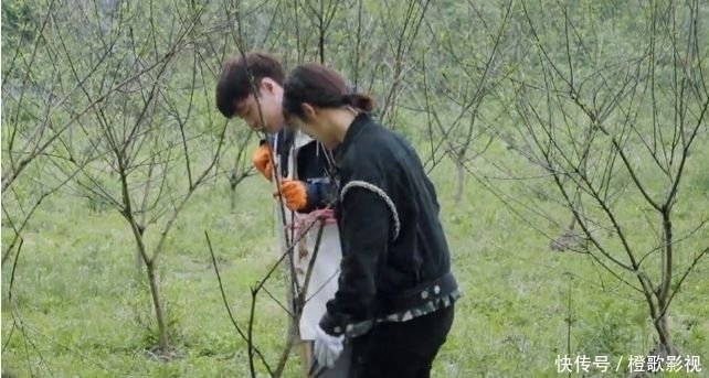 向往|黄磊调侃杨紫：想不想成为《向往》常驻嘉宾，杨紫的回应亮了