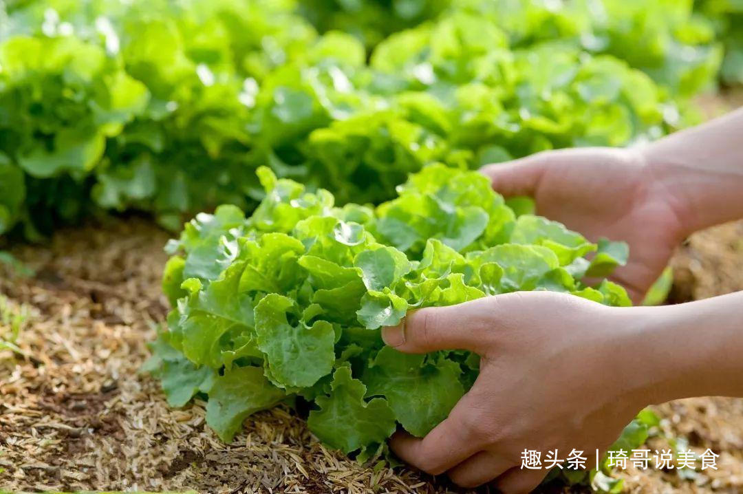 西葫芦|4月宁可不吃肉，也要吃这“4菜2果1豆”，应季而食身体倍儿棒