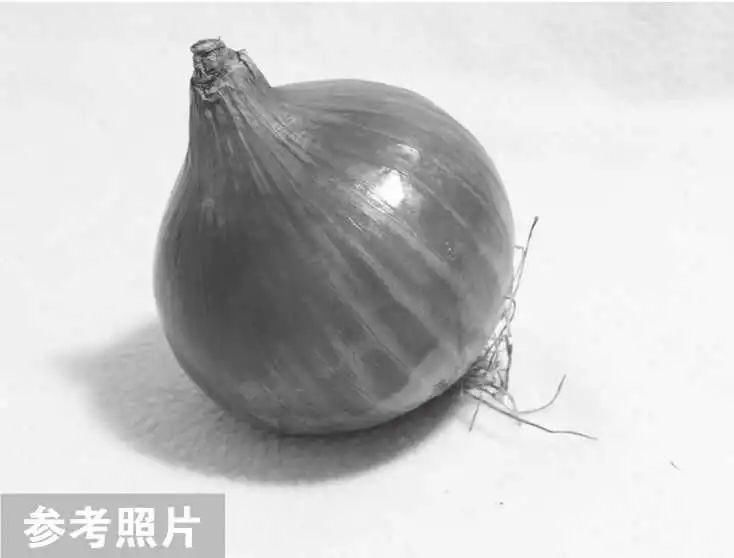 写生#结构素描写生实例:不会画结构素描?老艺术教你画三种常见的素描