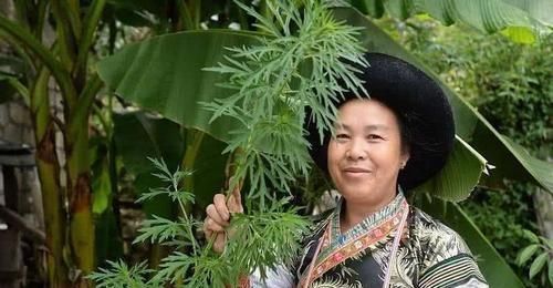 卵巢囊肿|女人不想妇科病来扰，三种食物轮着吃，帮你保养卵巢，预防妇科病