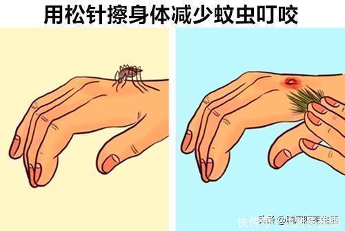 驱蚊剂|在千钧一发的危急时刻,可以拯救你生命的10个生存技巧