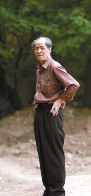 女人|白嘉轩后来引以为豪的是一生里娶过七房女人