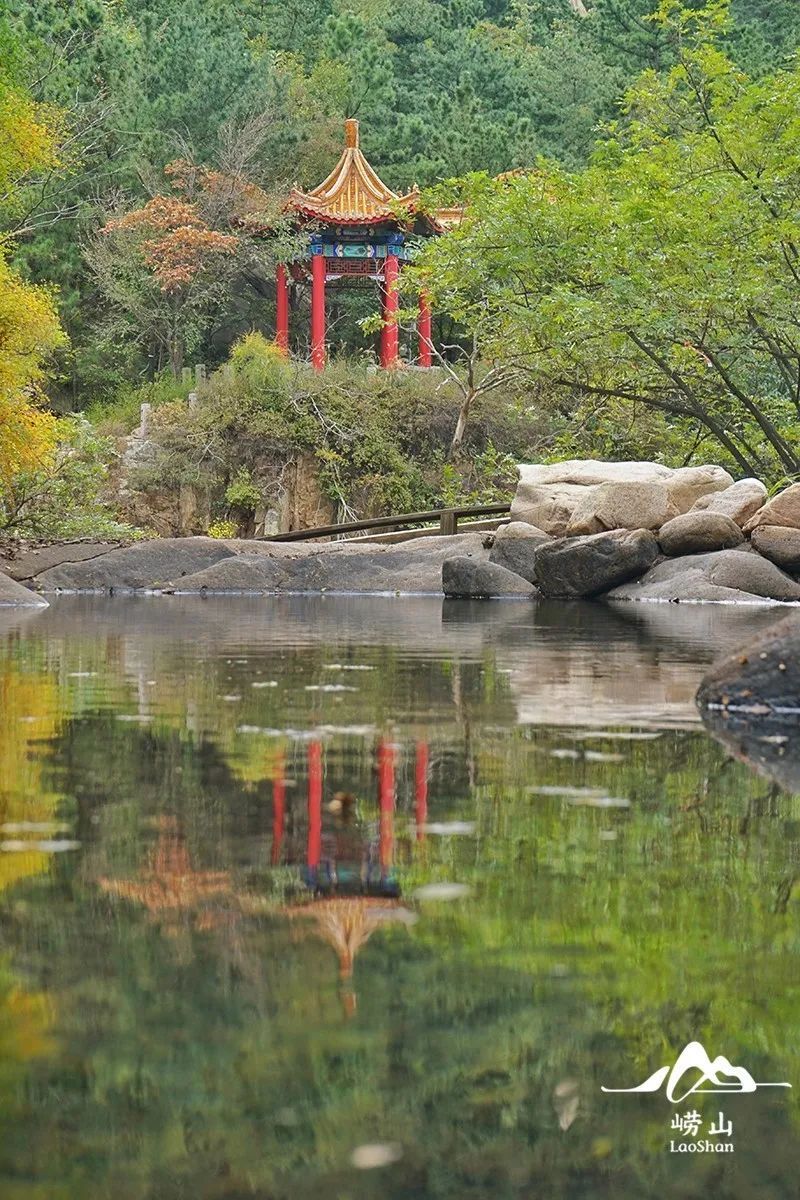 崂山风景区特约摄影|实况播报！绝美赏秋图鉴，醉入崂山秋色里