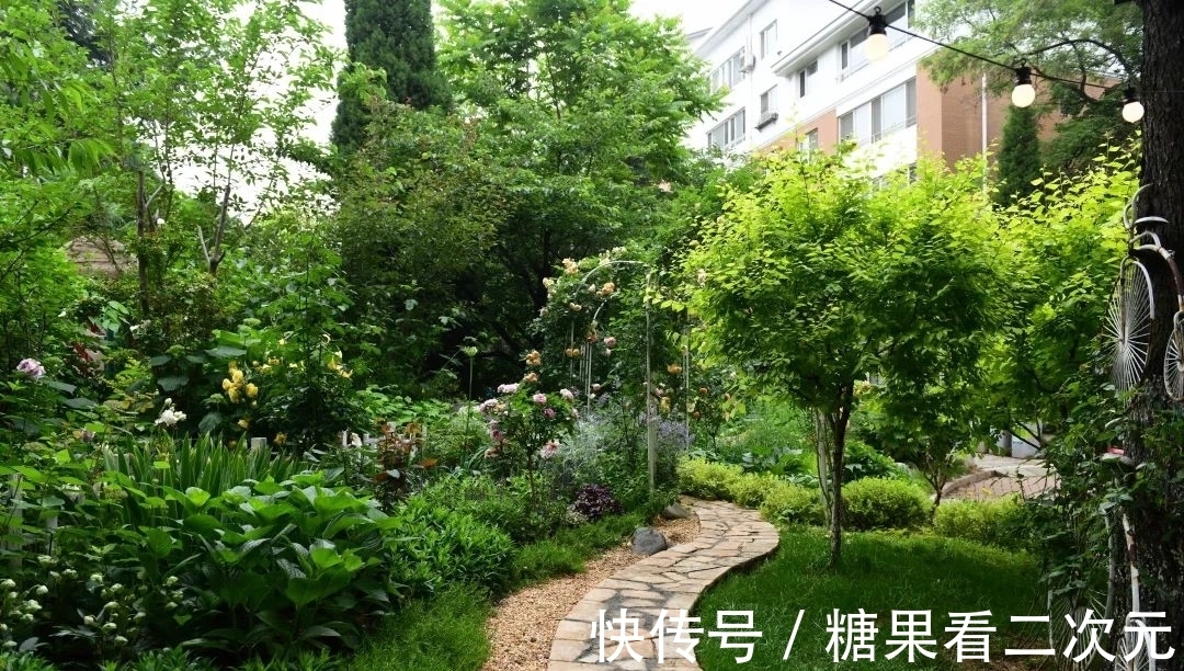 王俐|服装设计师兼花园设计师,裁剪最美的花园时光