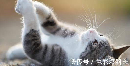 |幽默笑话:孩子考了倒数第二,老婆回家训斥半天还不让吃饭