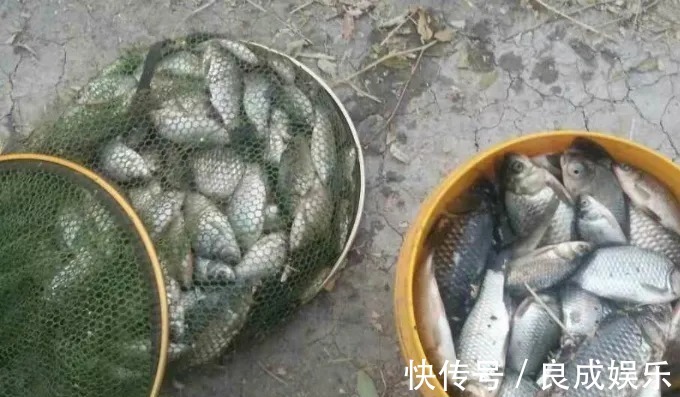 野钓|悄悄告诉你:其实不管在哪钓,铅坠这样调整后,一根鱼竿钓到手酸