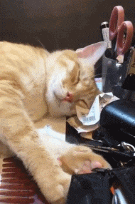 |搞笑GIF:据说看不懂的都是纯洁的好孩子