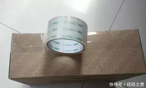 鞋盒原来也是养花一绝,能栽花种菜和沤肥,又省了好几百块钱!