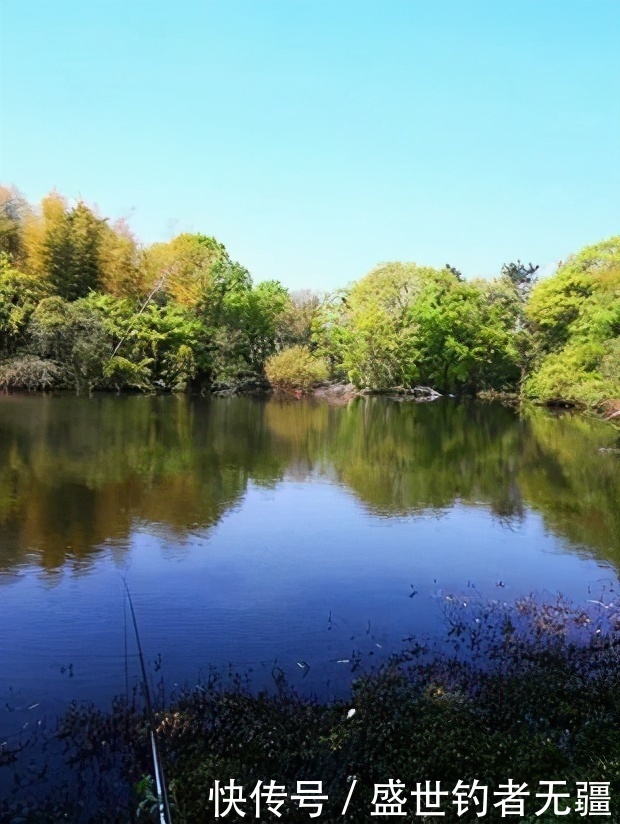 江河钓鱼太难？这几个秘诀别再错过，既简单又实用!——盛世三渔