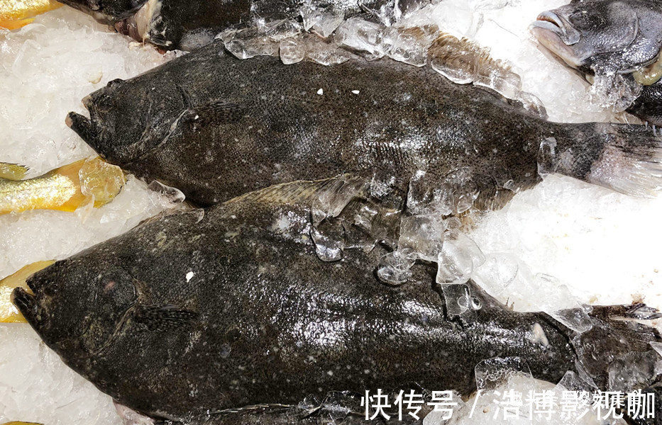 想吃鱼,就买此6种,目前无法人工养殖,都是野生鱼,放心吃吧