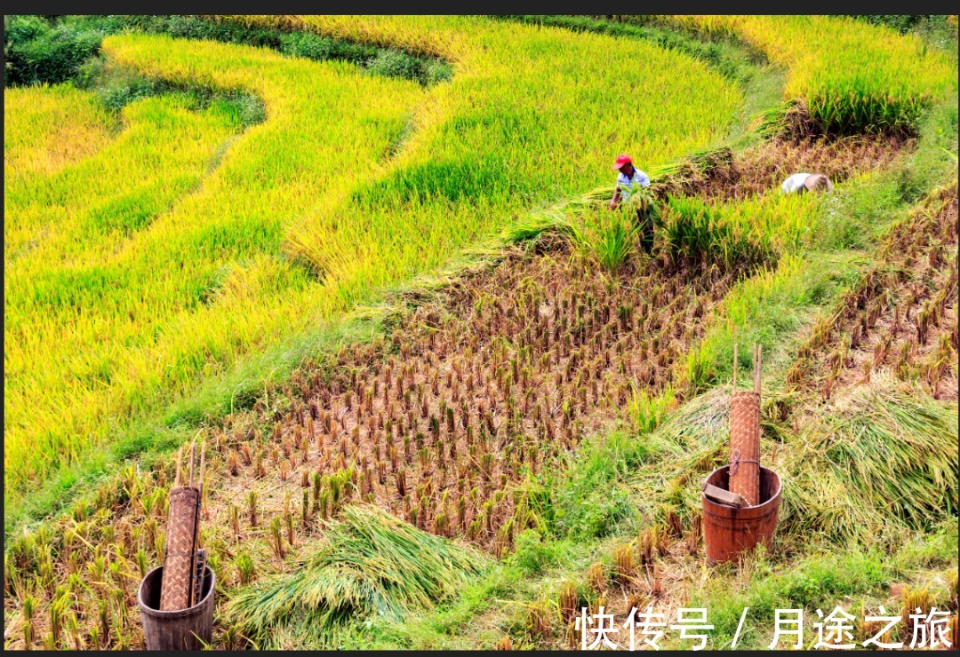 田园之乐|在千亩梯田间，看土楼雨雾缭绕，处居观景，一赏田园之乐