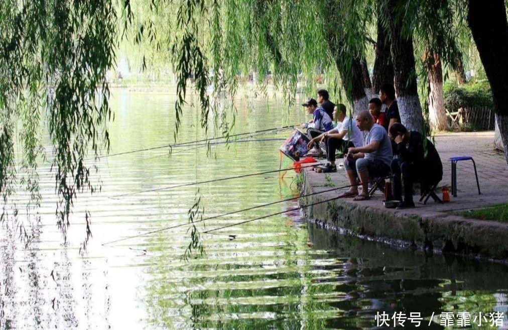 小鱼|你不知道的用酒米打窝诱鱼技巧!小鱼不闹窝,大鱼全上钩