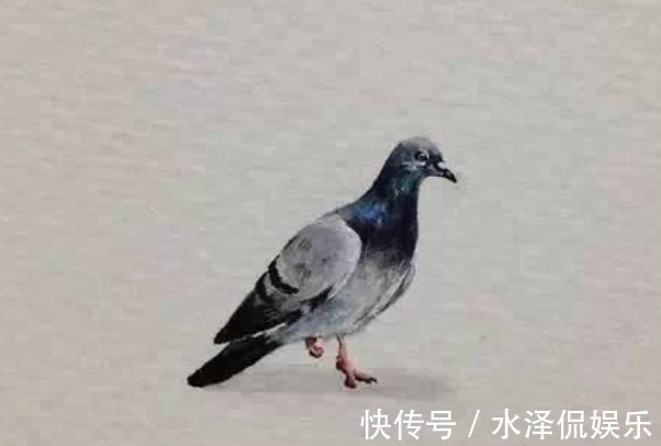 经典!今年最能噎死人的25句经典语录,看似粗糙,却句句现实