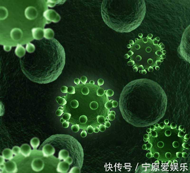 臭味|毛巾酸臭味从何而来别再用“臭毛巾”擦脸了！快来看看毛巾多脏