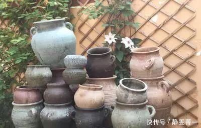 家里几种没用的东西，用来养花，省钱又实用，乐趣十足！