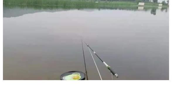 截饵|千错万错就不该收竿,鲫鱼起浮后,只需调整一番,爆护都没问题