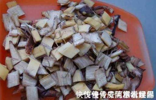 这3种“垃圾”别扔,丢在花盆里,花卉跟“打鸡血”一样蹭蹭长