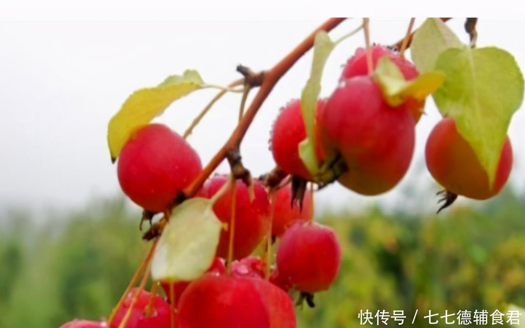 健康长寿|每天晚上坚持吃3种食物,营养丰富、滋补身体,好处多多!