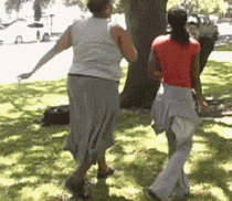 |搞笑GIF:猫:自从这个金毛来到这个家,老子的地位就一落千丈