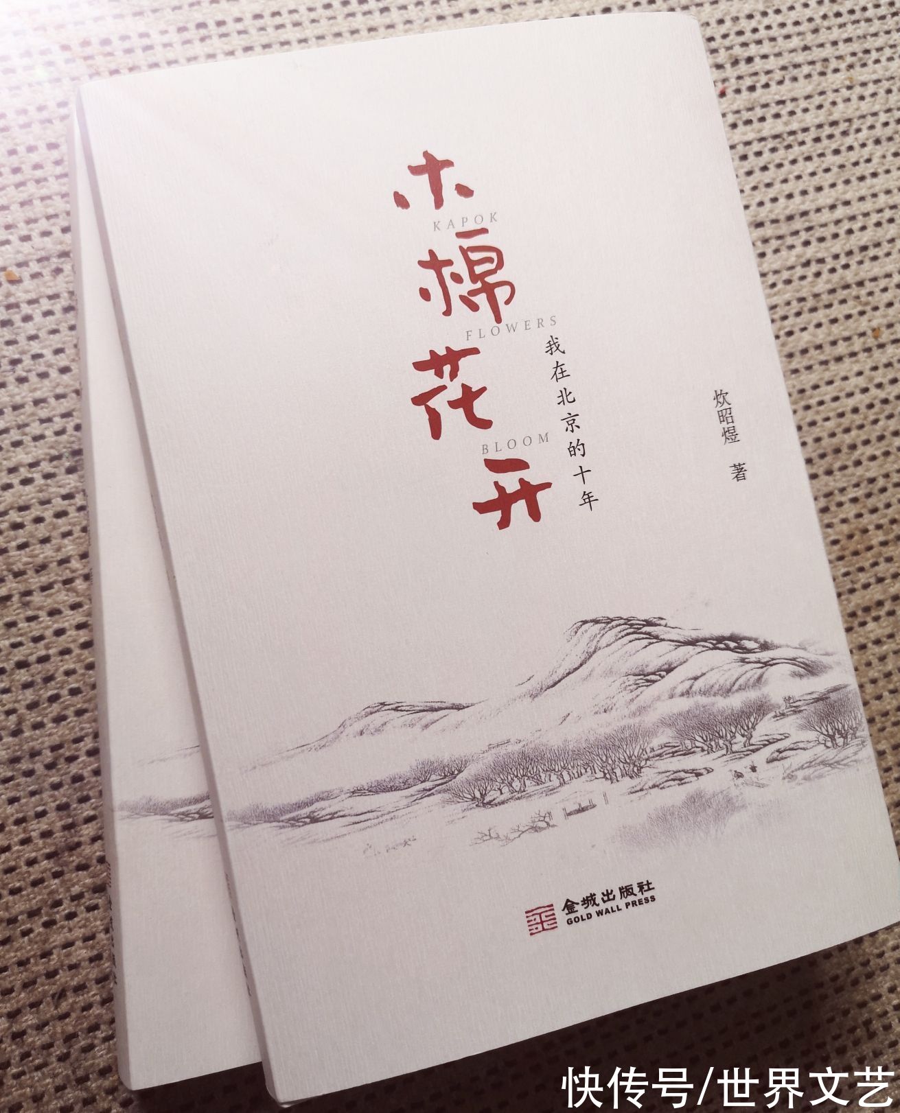 炊昭煜#新书推荐｜|《木棉花开》作者：炊昭煜