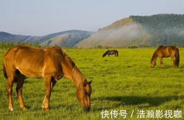 阴历|属马人命最好的出生月份，命中带财再穷也能富起来，再忙也要看看