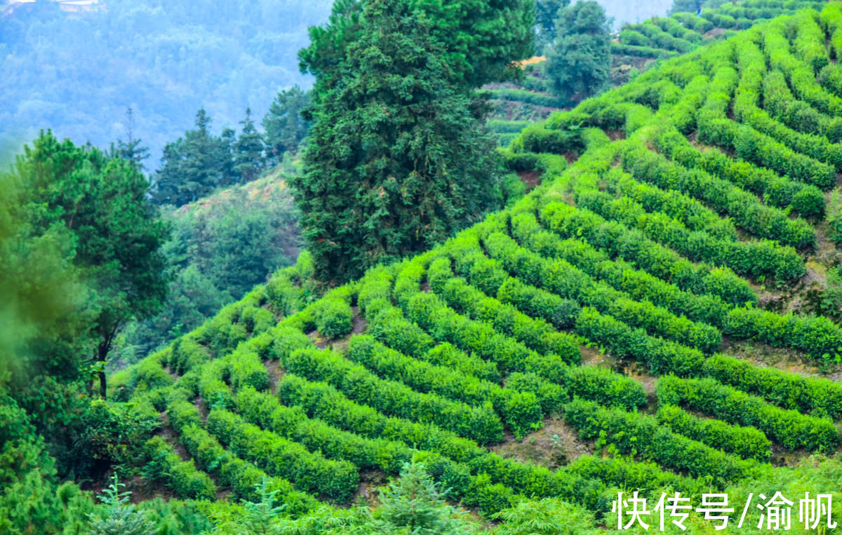 土壤|重庆江津：中国长寿之乡，富硒名城，适合养老与旅行的硒望之城